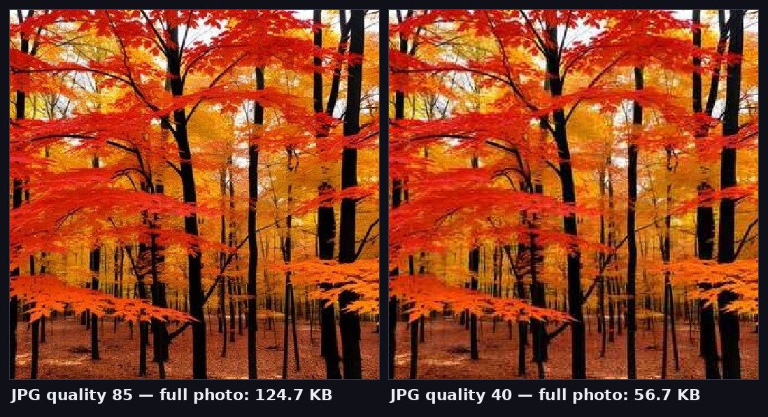 Side-by-side crops of the same photo saved at JPG quality 85 versus quality 40, with visible block artifacts at quality 40