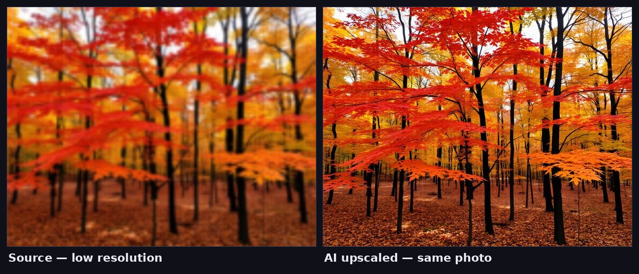 The same photo shown as a low-resolution source and as an AI-upscaled result with reconstructed detail